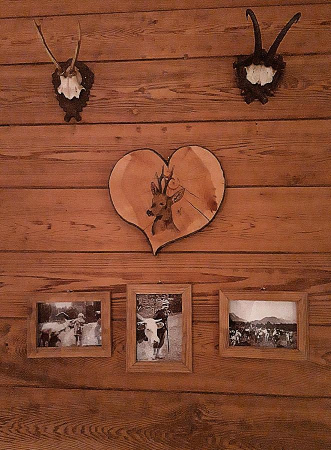 ホテル Berggasthof Karntner Alm ミッテンヴァルト エクステリア 写真